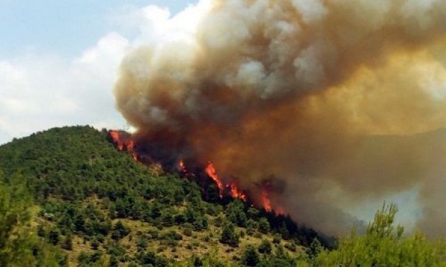 Πολύ υψηλός κίνδυνος πυρκαγιάς σήμερα – Δείτε ποιές περιοχές κινδυνεύουν (εικόνες)