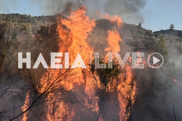 Ηλεία: Μεγάλη πυρκαγιά στο Χειμαδιό - Δεύτερη εστία στη Βρίνα