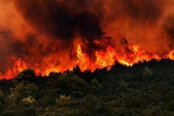 Μεγάλη φωτιά στην Ηλεία - Τραυματίστηκε πυροσβέστης