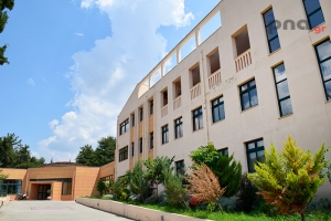 Συγκρότηση άμισθης Επιτροπής Ισότητας των Φύλων (Ε.Ι.Φ.) στο Πανεπιστήμιο Πελοποννήσου
