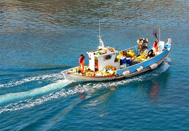 Πέτρος Τατούλης «Αναγκαία η εθνική θαλάσσια πολιτική για την εφαρμογή της Κοινής Αλιευτικής Πολιτικής της Ε.Ε.»