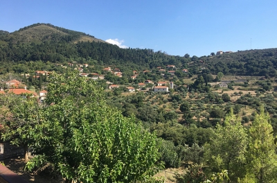 Σελλάς Μεσσηνίας Το χωριό της Πελοποννήσου με τα περισσότερα αιωνόβια δέντρα της Ελληνικής Επανάστασης