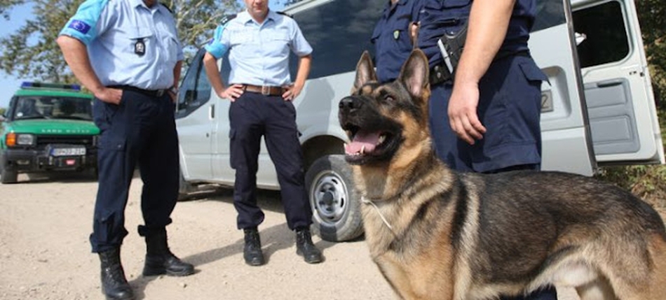 Ναύπλιο: Αστυνομικός σκύλος εντόπισε ναρκωτικά και όπλα