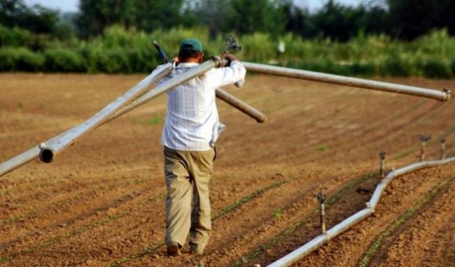 Περιφερειάρχης Πελοποννήσου «Μόνη λύση η εξωστρέφεια για τη βιωσιμότητα της αγροτικής μας οικονομίας»