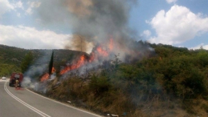 Υψηλός κίνδυνος πυρκαγιάς σήμερα στην περιοχή της Αιγιαλείας
