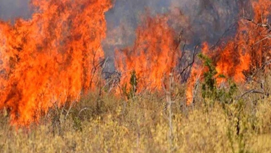 Δασικές πυρκαγιές σε Ξυλόκαστρο, Τραγανό Ηλείας και οικία στο  Άργος