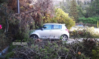 Ναύπλιο: Δέντρο έπεσε σε ΙΧ αυτοκίνητο στην πλατεία Αρβανιτιάς