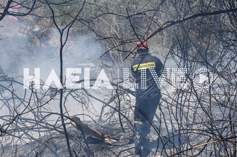 Πυρκαγιά ξέσπασε σε δασική έκταση στην περιοχή Βροχίτσα Πύργου Ηλείας
