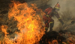 Νέα φωτιά στην Ζάκυνθο: Εκκενώνονται σπίτια