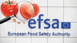 Υπολείμματα Φυτοφαρμάκων στα Τρόφιμα. Ασφαλές το 97% των τροφίμων που καταναλώνονται σε όλη την ΕΕ.