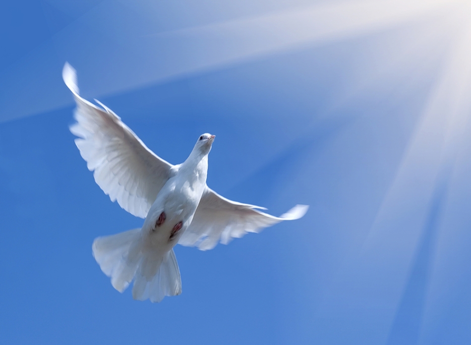 Αγίου Πνεύματος: Μεγάλη μέρα για την Ορθοδοξία