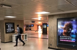 Βρυξέλλες: Εξουδετερώθηκε βομβιστής αυτοκτονίας στον κεντρικό σταθμό των τρένων