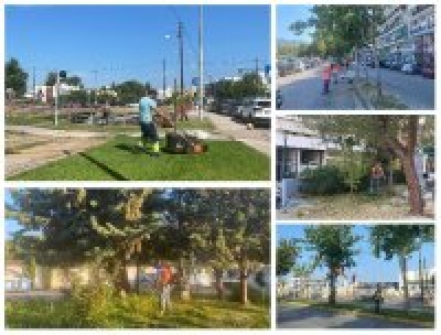 Καθημερινές παρεμβάσεις βελτίωσης του Πρασίνου στον Δήμο Καλαμάτας