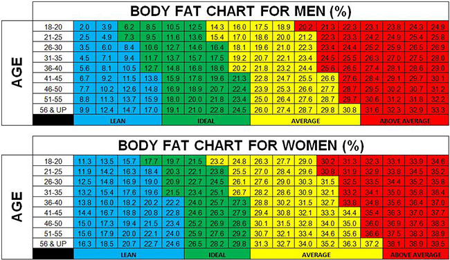 bodyfatchart