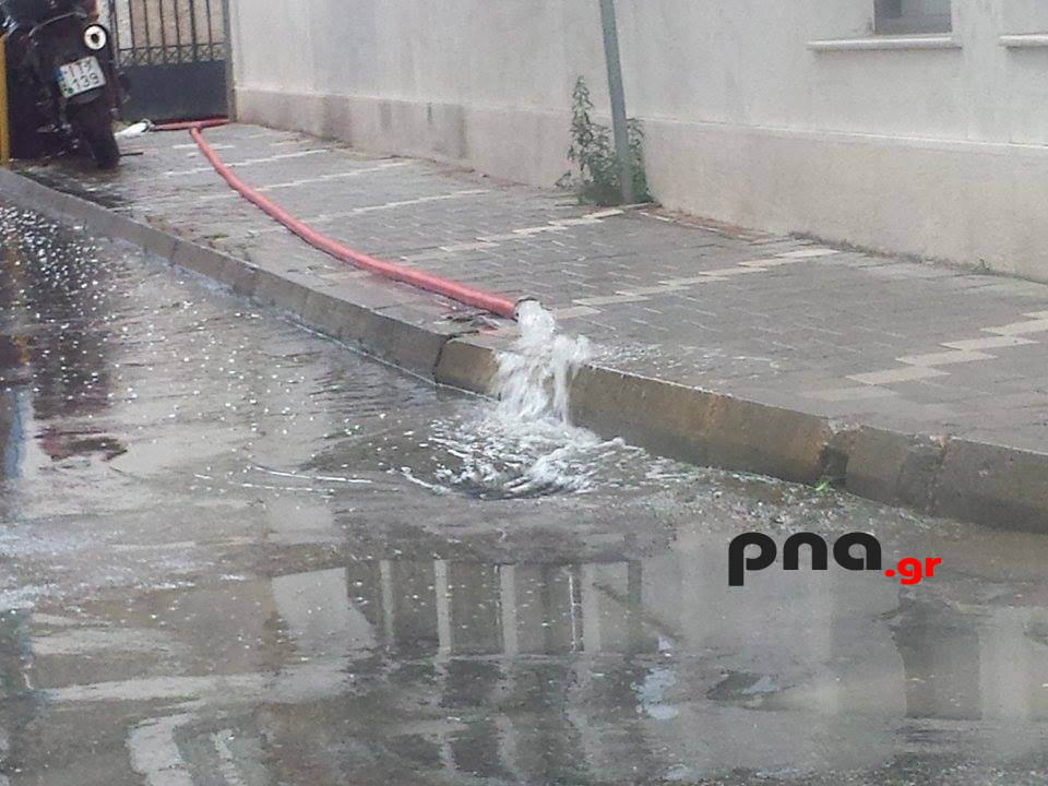 15319615 10210279716245309 2068999281 n