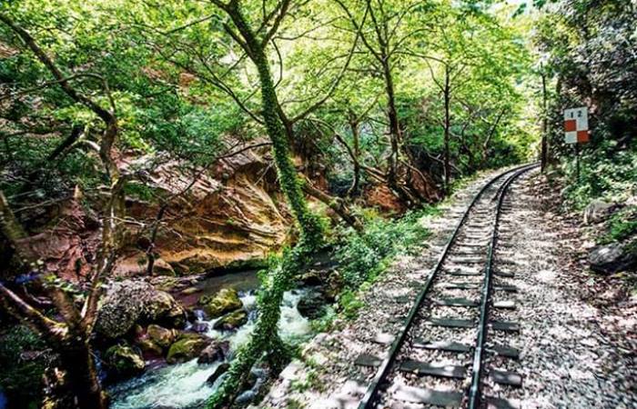 Зубчатая железная дорога