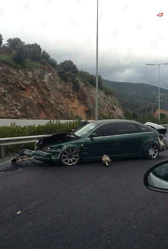 sterna troxaio