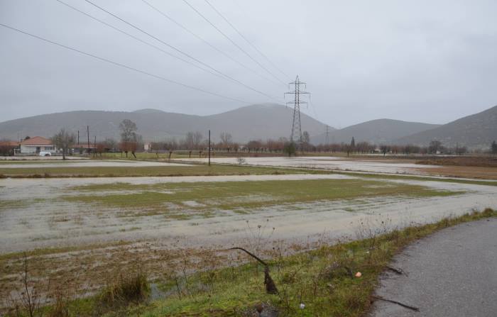milia tripolis plimires