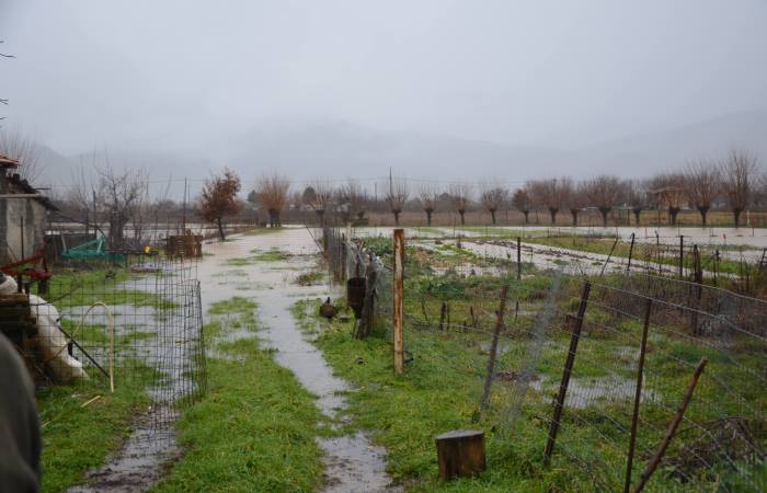 milia tripolis plimires d