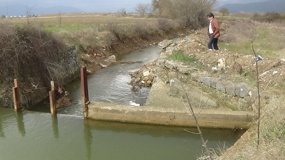 plimiures giannakoyras4
