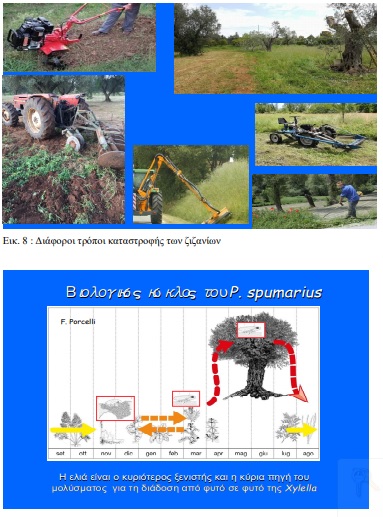zizania tropoi katastrofis