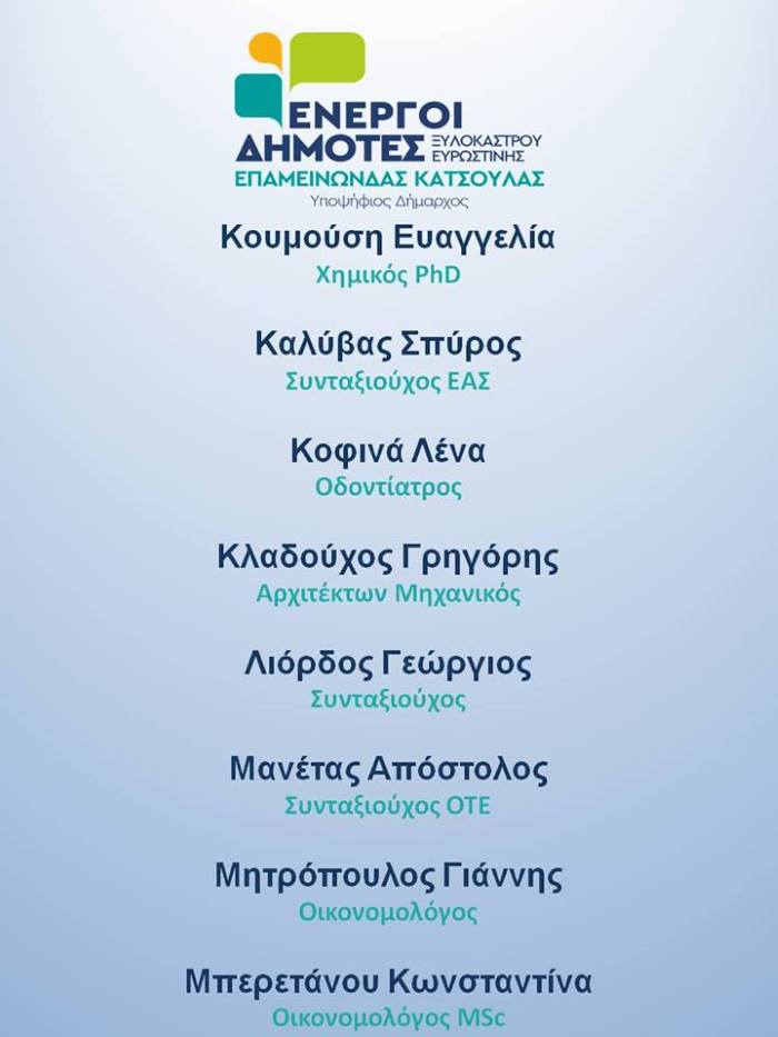 energoi dimotes 2
