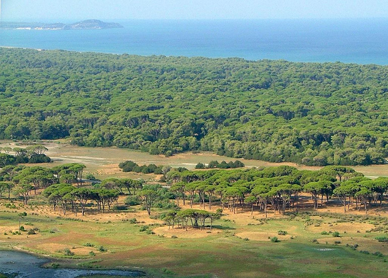 kalogria achaia