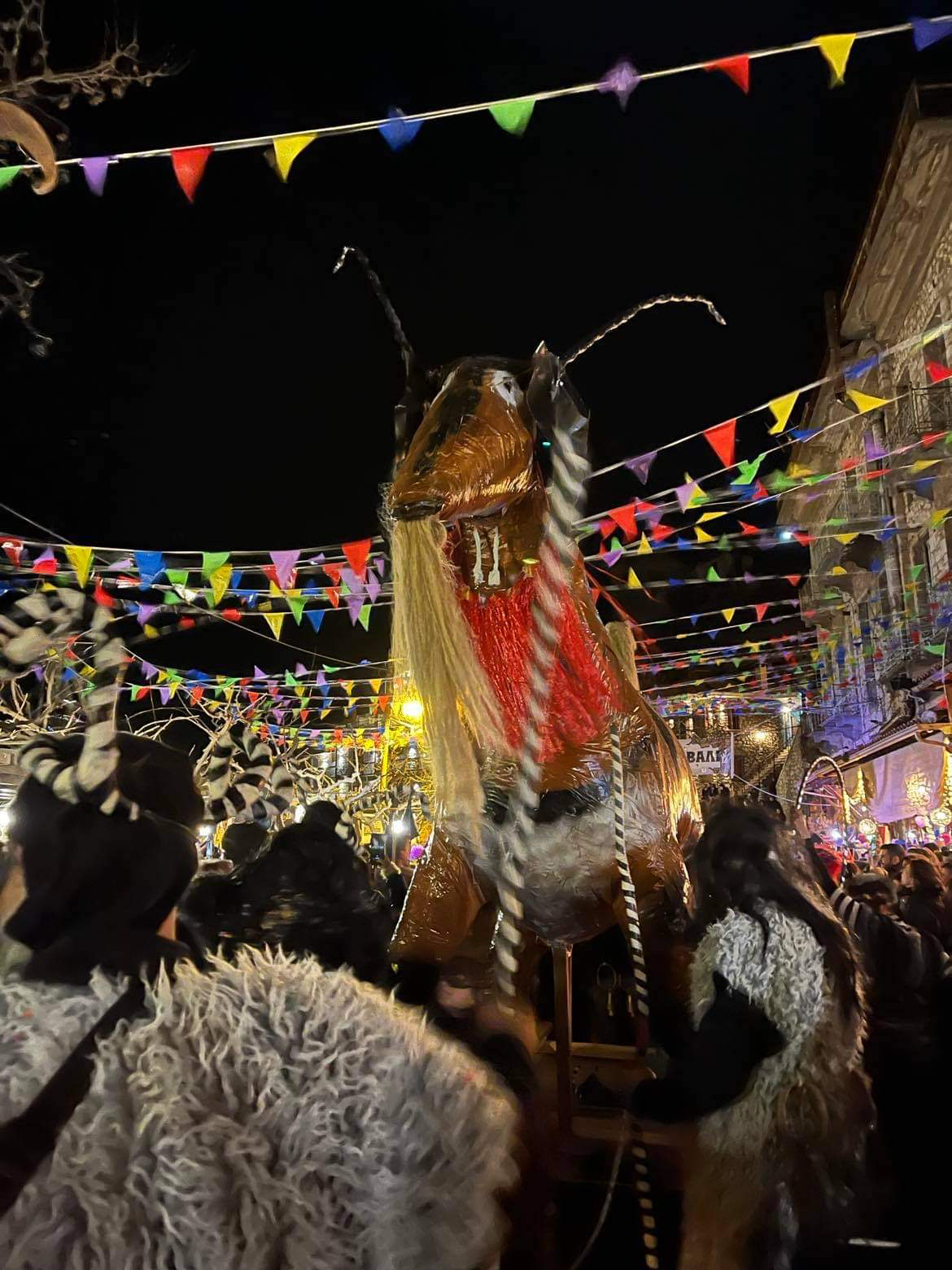 carnival5